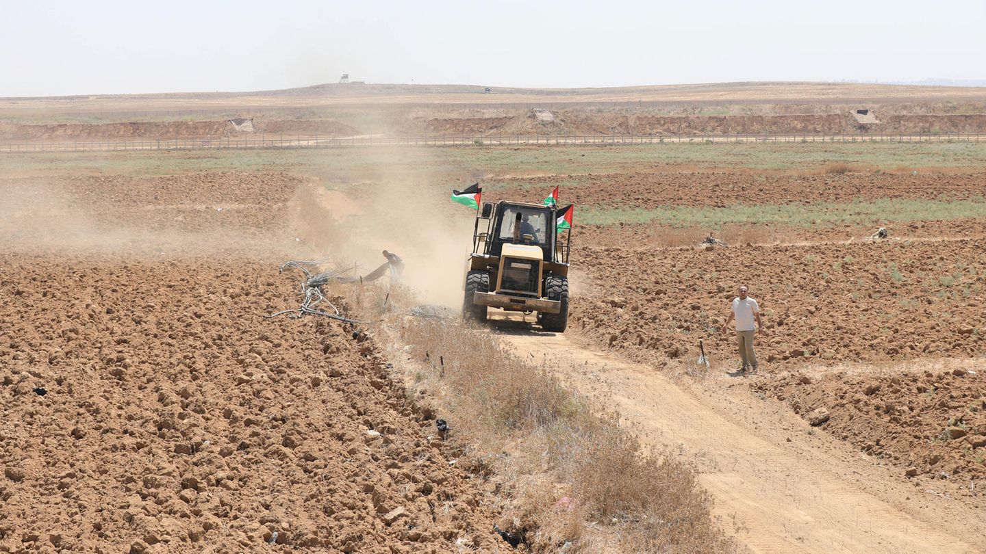 Landiwrtschaft im Gazastreifen