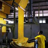 Gelber Stoff wird bedruckt