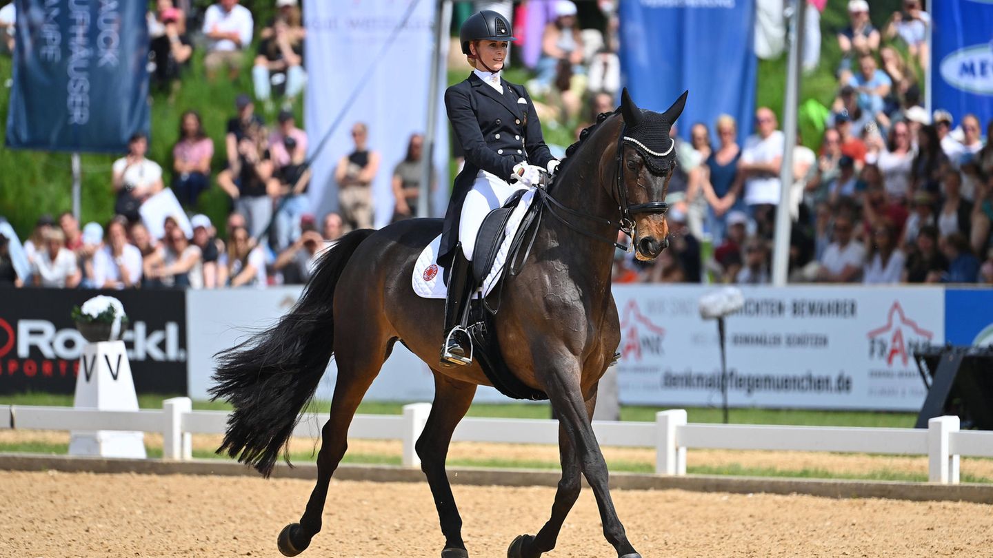 Olympics: German riders sleep at Lidl instead of in the Olympic Village