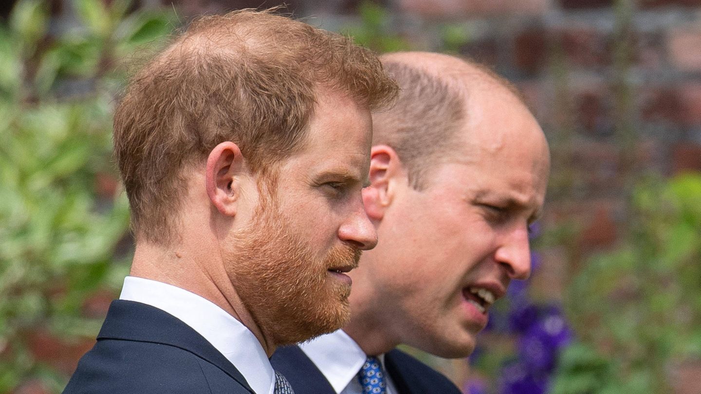 How Prince Harry prevented a clarification meeting with William