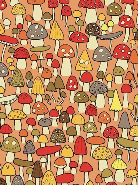 Eine Maus hat sich zwischen vielen farbigen Pilzen versteckt