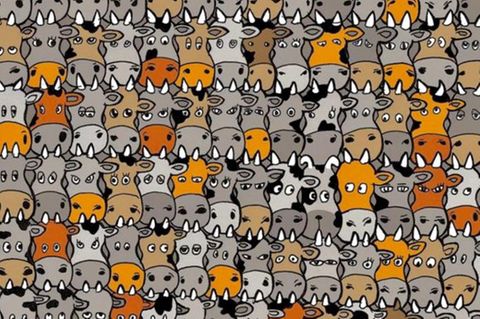 Im Suchbild hat sich ein Vierbeiner inmitten einer Kuhherde versteckt. Sie haben zehn Sekunden ihn zu finden!