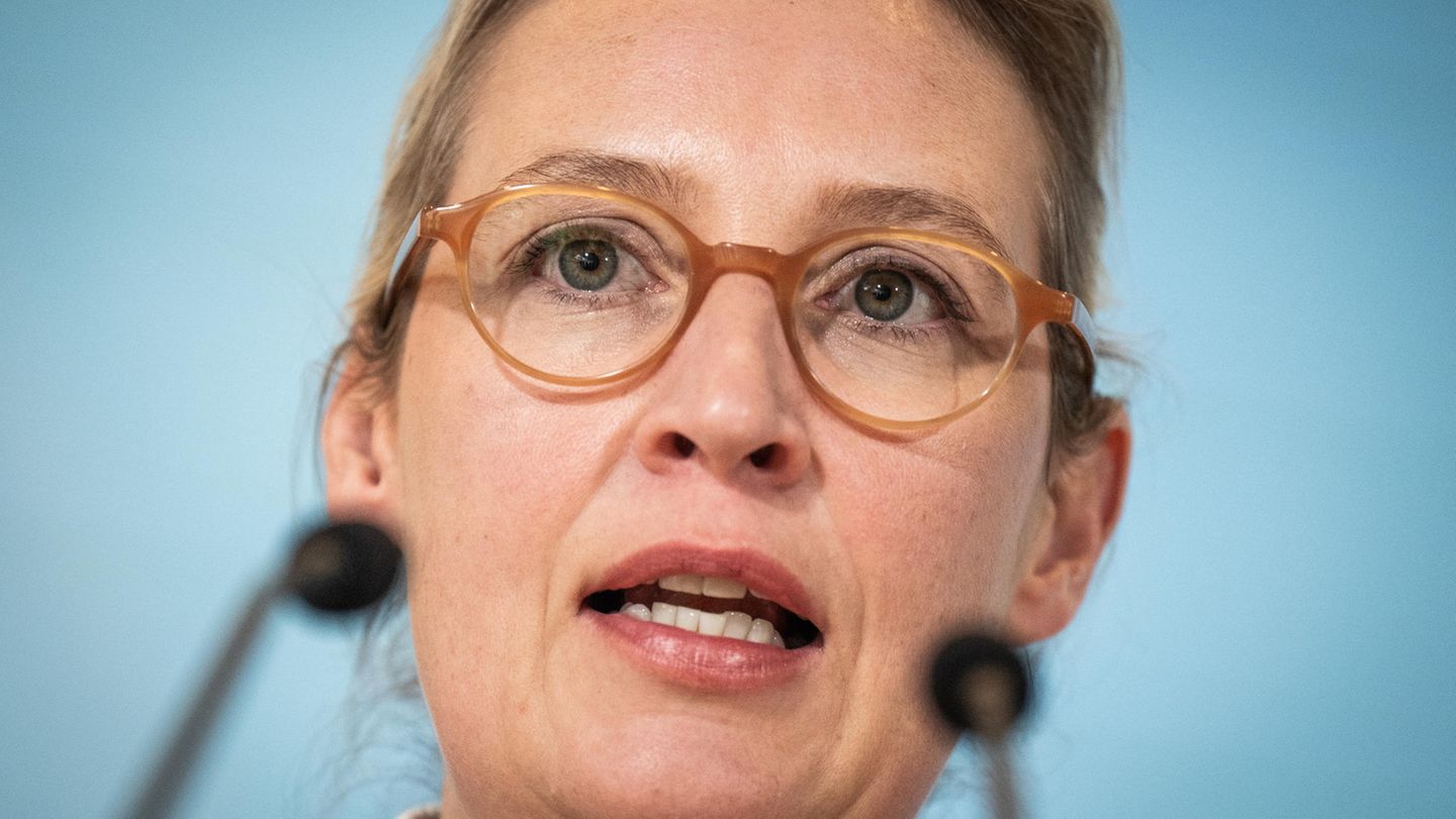 AfD-Parteivorsitzende Alice Weidel