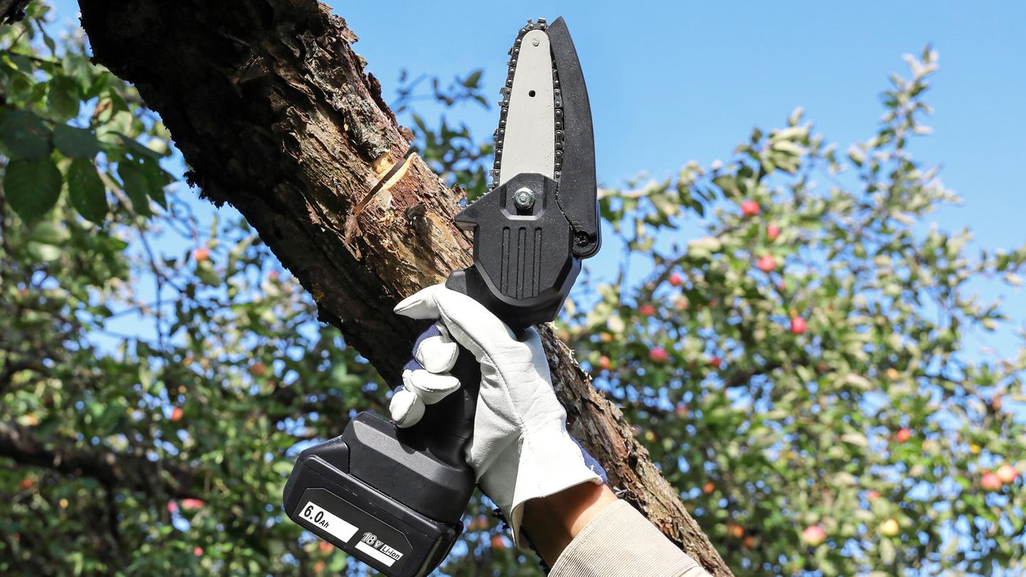 Small chainsaw from Bosch for 105 euros as an alternative of 158 euros: Monday backyard offers