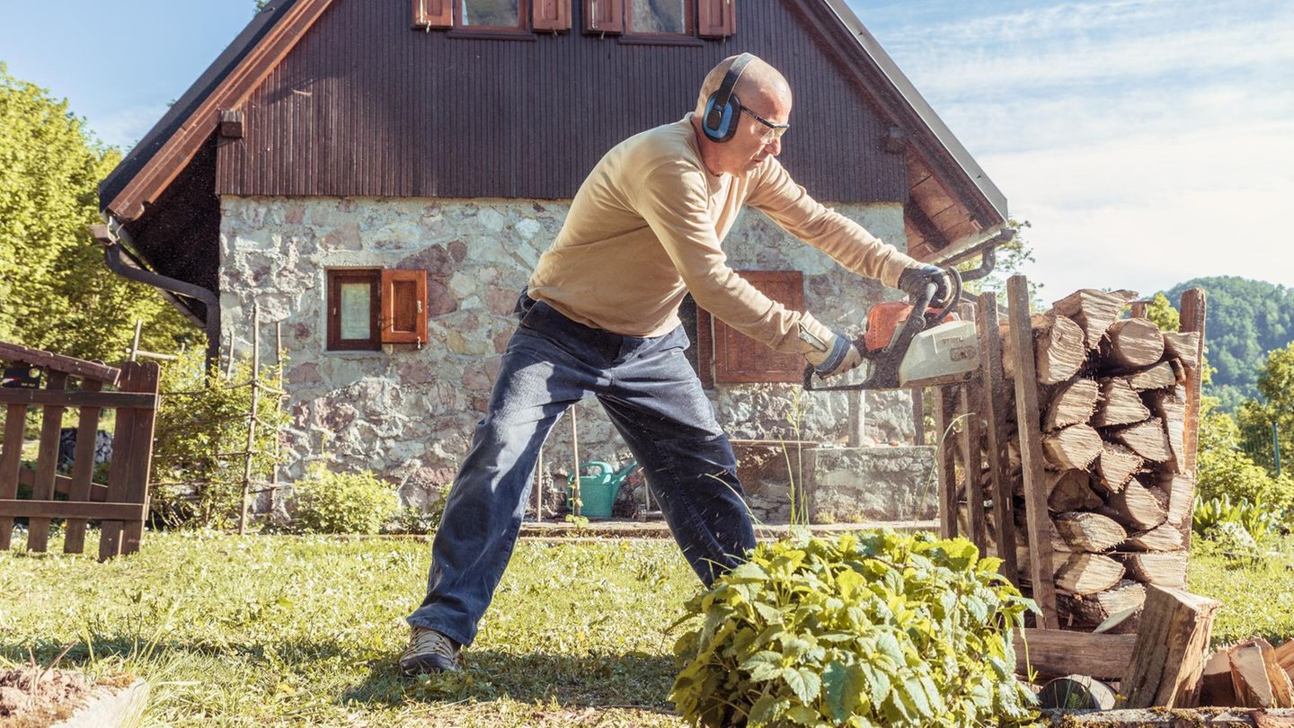 Small chainsaw from Bosch for 105 euros as an alternative of 158 euros: Monday backyard offers