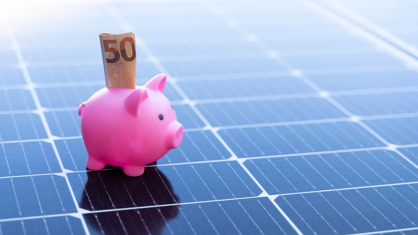 Betrug beim Kauf einer Solaranlage? Rosa Sparschwein auf Panel.