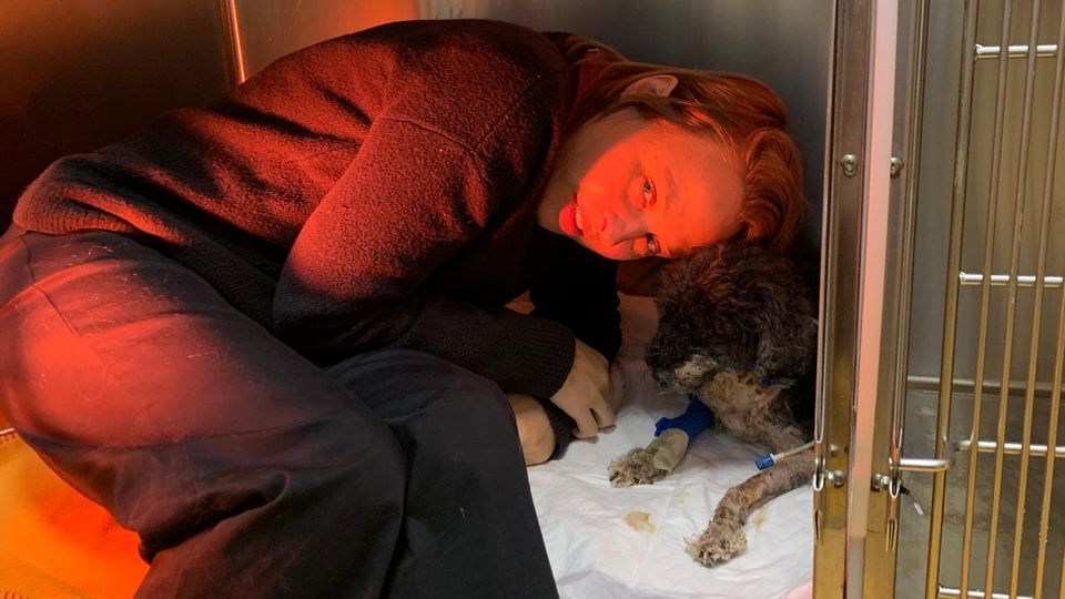 Katja Danowski im Hundekäfig mit Pudel Frido