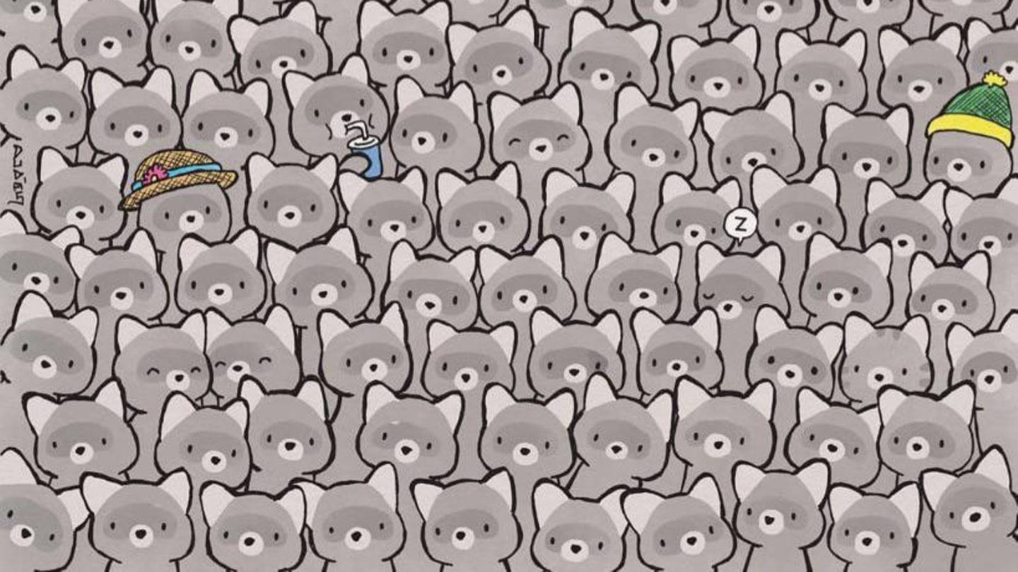 Augentest: Finden Sie die kleine Katze in 15 Sekunden? | STERN.de