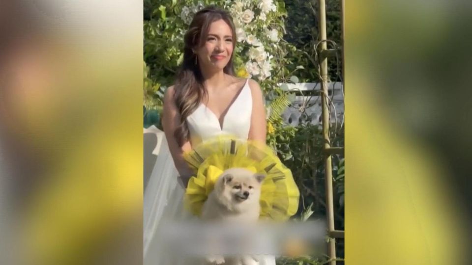 Kurioser "Blumenstrauß": Hochzeitspaar vergisst Brautstrauß – als Ersatz muss ein Hund herhalten