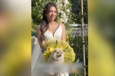 Kurioser "Blumenstrauß": Hochzeitspaar vergisst Brautstrauß – als Ersatz muss ein Hund herhalten