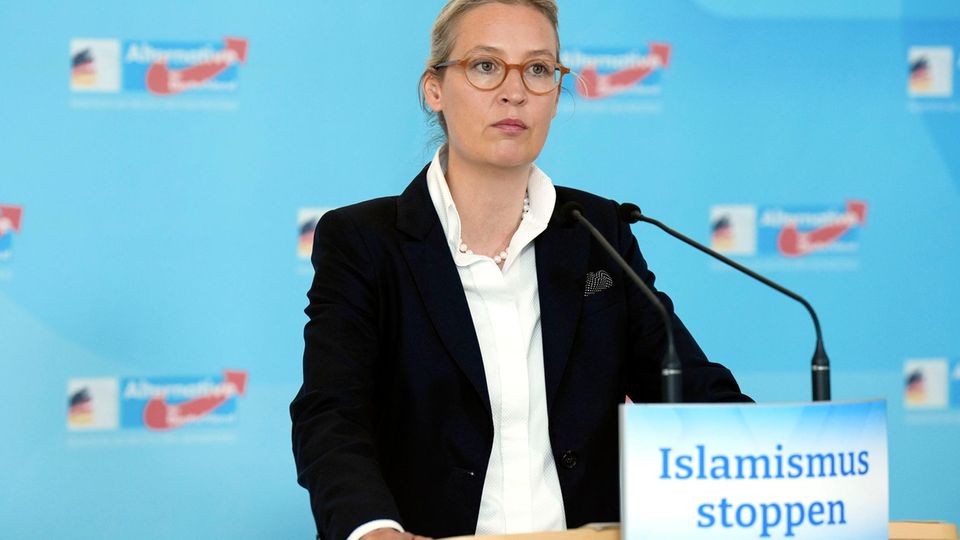 AfD-Chefin Alice Weidel bei einem Pressestatement