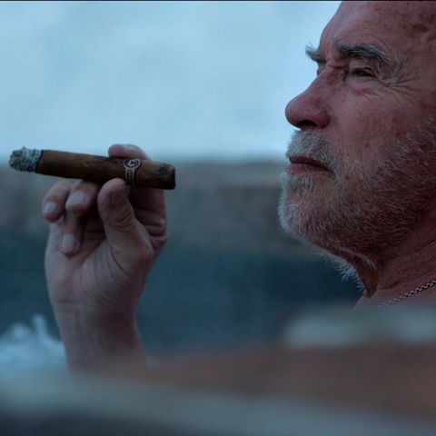 Arnold Schwarzenegger in einem Wirlpool mit Zigarre - Filmstil aus "Arnold"