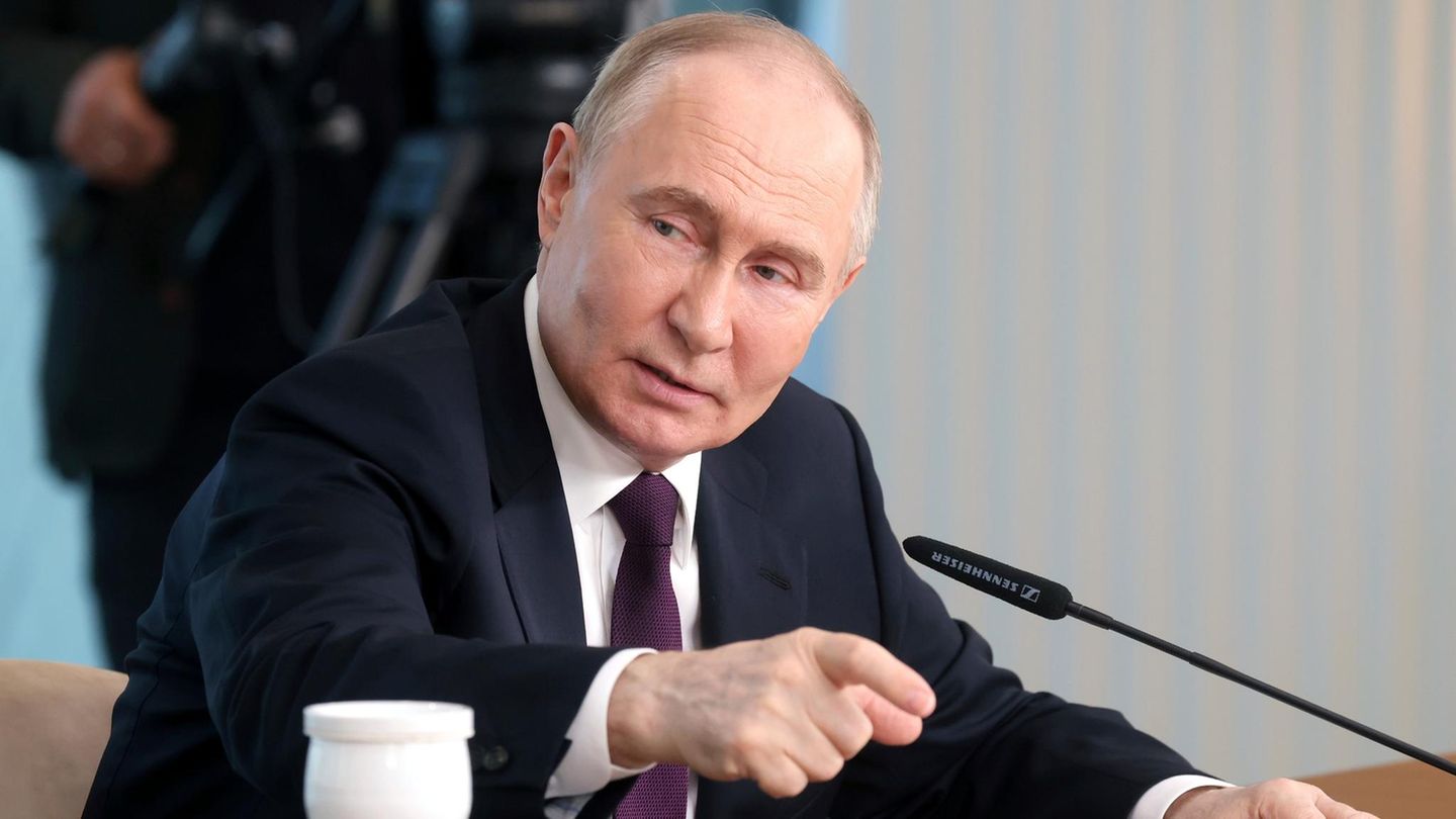 Vladimir Putin on AfD: “We see nothing that would cause us concern”