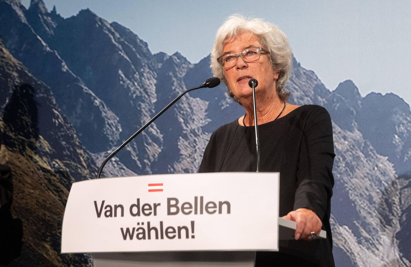 Heide Schmidt, 75, war jahrelang liberales Aushängeschild der FPÖ, kandidierte in Jörg Haiders Auftrag als Bundespräsidentin. Später sagte sie sich los und gründete das Liberale Forum. Sie tritt als Zeugin auf