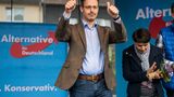 Marcus Pretzell verteidigt FPÖ