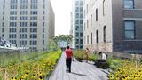 "Ein gerader Gehweg, der entlang der Bahngleise verläuft, ist von einer Landschaft aus einheimischen Arten umgeben, die einst spontan auf der High Line wuchsen, durchsetzt mit neuen Arten, die dafür sorgen, dass sie während der gesamten Vegetationsperiode blühen", heißt es im Konzept, zu der auch diese Grafik gehört