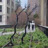 Das Kunstwerk "Forgiving Change" des Berliners Timur Si-Qin steht 2018 auf der High Line, die auch bei Regen Besucher anzieht