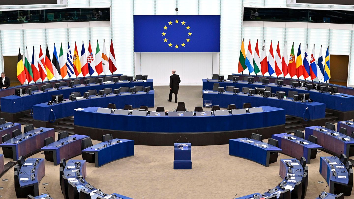EU: The European Parliament has a say in these economic issues