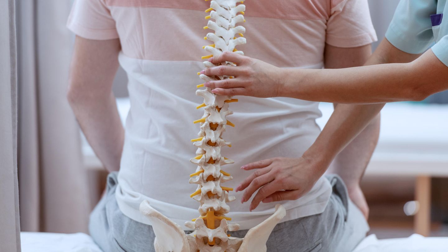 Hier finden Sie ausgezeichnete Kliniken im Bereich Wirbelsäulenchirurgie. 