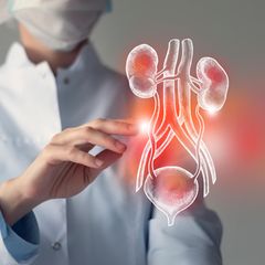 Hier finden Sie ausgezeichnete Kliniken im Bereich Hernienchirurgie. 