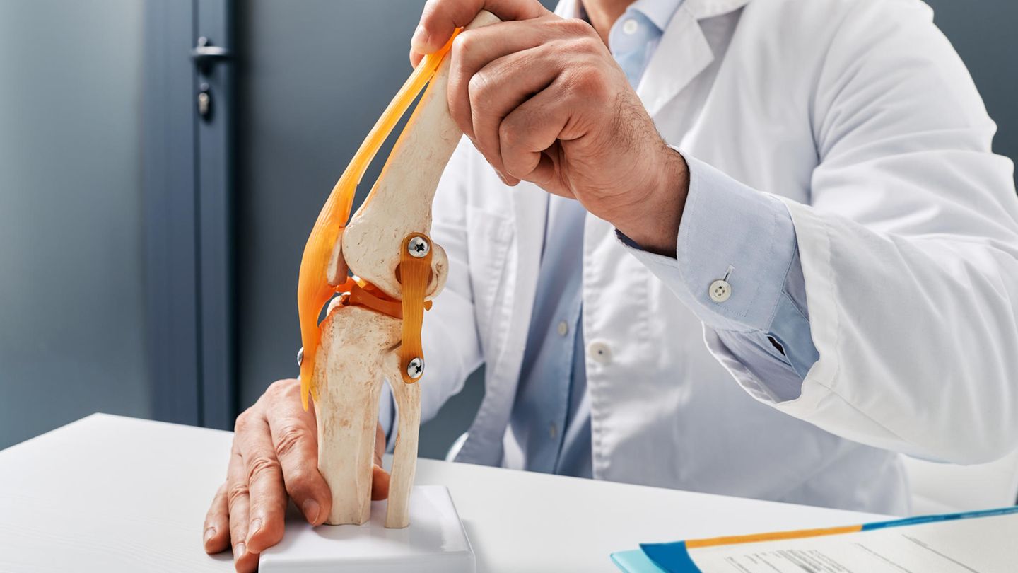 Hier finden Sie ausgezeichnete Kliniken im Bereich Kreuzband und Meniskus. 