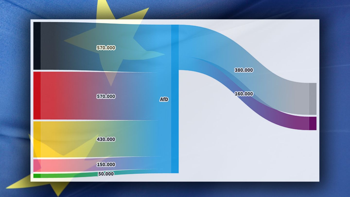 Voter migration in the 2024 European elections: Who AfD and BSW stole votes from