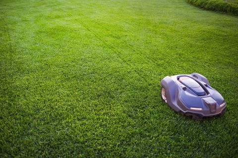 Freie Fahrt voraus!: Mähroboter ohne Begrenzungskabel: Freigänger für jede Gartengröße