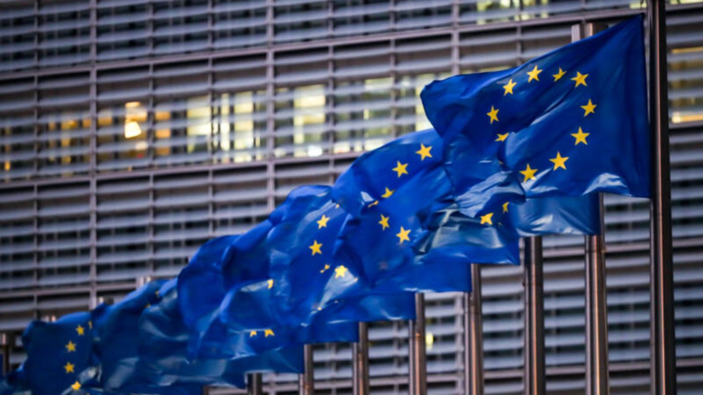 After the European elections: What happens next in Brussels and Strasbourg
