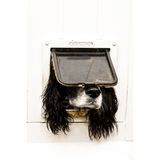 Hund in Katzenklappe