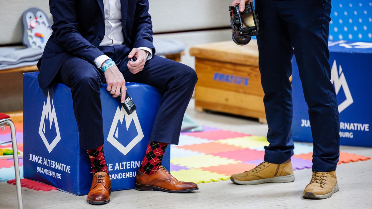 AfD success among young voters: Why does Generation Z vote right-wing?