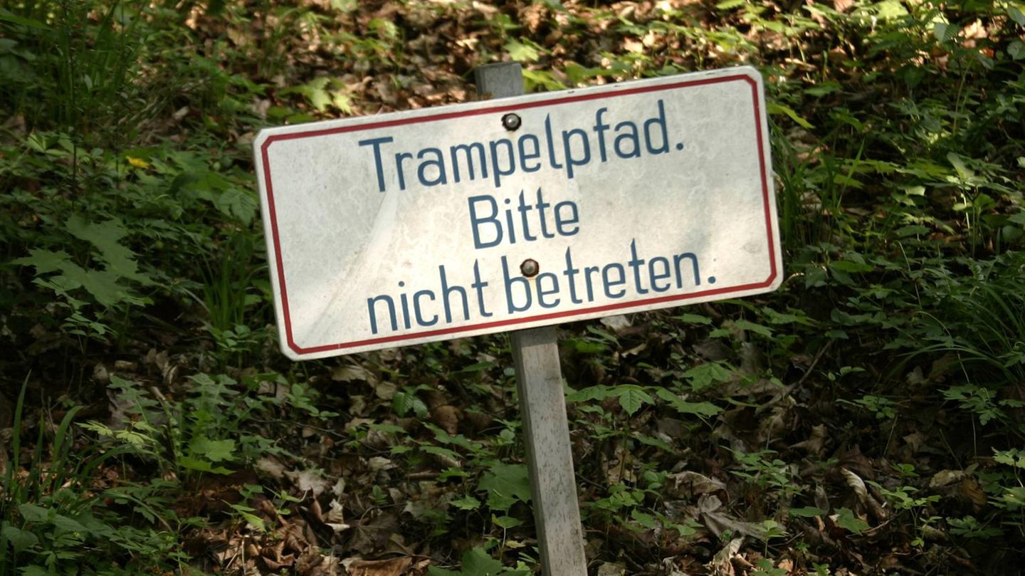 Verkehrsschild Schild Trampelpfad