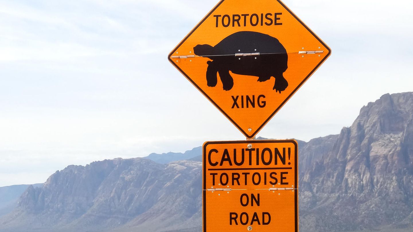 Verkehrsschild Schild Schildkröten