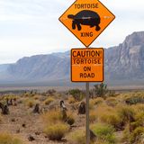 Verkehrsschild Schild Schildkröten