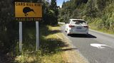 Verkehrsschild Schild Kiwi