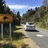 Verkehrsschild Schild Kiwi