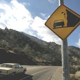 Verkehrsschild Schild Fallende Kühe