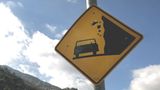 Verkehrsschild Schild Fallende Kühe