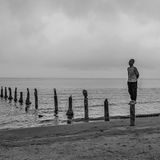 Rostam steht auf einem Pfahl eines verrotteten Stegs am Strand