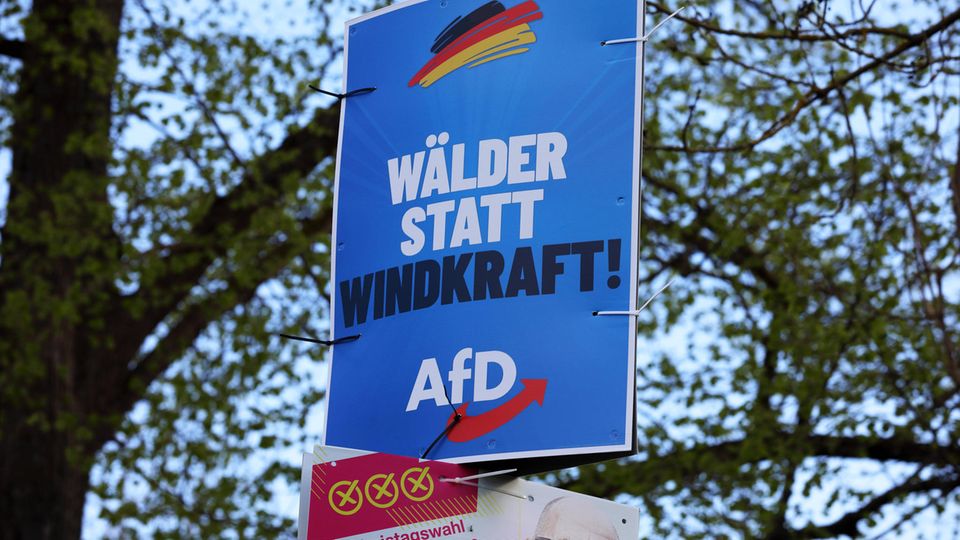 Europawahl AfD Wahlplakat mit dem Slogan "Wälder statt Windkraft!"