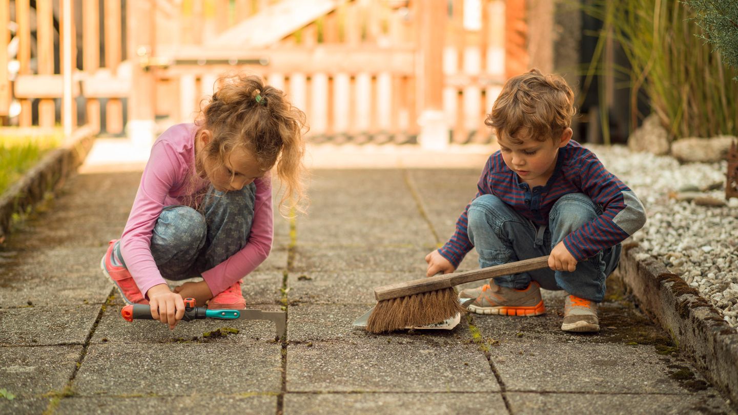 Garden deals on Thursday: Gardea joint brush 35% off