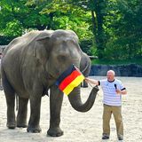 Der Hagenbeck Zoo in Hamburg versucht sich zur Euro 2021 ebenfalls an einem Tierorakel. Welches Spiel Elefanten-Leitkuh Yashoda hier tippt und ob sie richtig lag, ist nicht überliefert   