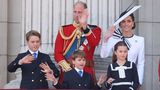 Prinz William