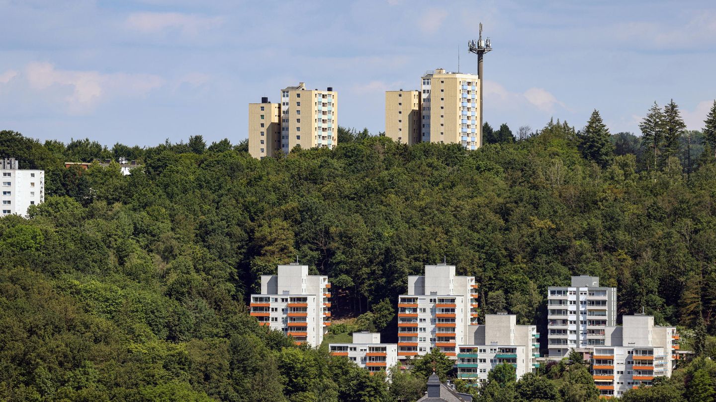 How tenant protection associations help tenants and possible alternatives