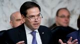Was die Beziehung zu Donald Trump angeht, hat kaum ein Vize-Kandidat eine derartige 180-Grad-Wendung hingelegt wie er: Floridas Senator Marco Rubio. Noch im Vorwahlkampf 2016 zog ihn Trump aufgrund seiner geringen Größe als "Little Marco" auf, während Rubio sich über Trumps kleine Hände lustig machte. Doch die einstigen Rivalen haben ihre Streitigkeiten beiseitegelegt und arbeiten seither eng zusammen. Bevor Trump 2020 aus dem Weißen Haus gewählt wurde, soll er Rubio gar als möglichen Kandidaten für das Amt des Außenministers in Betracht gezogen haben.  Pro: Rubio, 52, hat Erfahrung auf der nationalen Bühne und ist eine bekannte Größe. Größter Pluspunkt: sein Migrationshintergrund. Als Sohn kubanischer Einwanderer könnte er Trump helfen, Latino-Wähler auf seine Seite zu ziehen.  Contra: Trump mag Gewinnertypen. Rubio ist nach seinem Einzug in den Senat hinter den Erwartungen vieler Republikaner zurückgeblieben. Zudem hat er sich bislang wenig enthusiastisch über die Möglichkeit einer Vize-Kandidatur an Trumps Seite geäußert – ein Amt, das er 2016 öffentlich ausgeschlossen hatte.