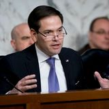 Was die Beziehung zu Donald Trump angeht, hat kaum ein Vize-Kandidat eine derartige 180-Grad-Wendung hingelegt wie er: Floridas Senator Marco Rubio. Noch im Vorwahlkampf 2016 zog ihn Trump aufgrund seiner geringen Größe als "Little Marco" auf, während Rubio sich über Trumps kleine Hände lustig machte. Doch die einstigen Rivalen haben ihre Streitigkeiten beiseitegelegt und arbeiten seither eng zusammen. Bevor Trump 2020 aus dem Weißen Haus gewählt wurde, soll er Rubio gar als möglichen Kandidaten für das Amt des Außenministers in Betracht gezogen haben.  Pro: Rubio, 52, hat Erfahrung auf der nationalen Bühne und ist eine bekannte Größe. Größter Pluspunkt: sein Migrationshintergrund. Als Sohn kubanischer Einwanderer könnte er Trump helfen, Latino-Wähler auf seine Seite zu ziehen.  Contra: Trump mag Gewinnertypen. Rubio ist nach seinem Einzug in den Senat hinter den Erwartungen vieler Republikaner zurückgeblieben. Zudem hat er sich bislang wenig enthusiastisch über die Möglichkeit einer Vize-Kandidatur an Trumps Seite geäußert – ein Amt, das er 2016 öffentlich ausgeschlossen hatte.