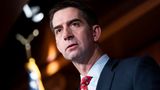 Tom Cotton, 47, Senator aus Arkansas, geht als Nachzügler in das Vize-Rennen. Trump hatte den Militärveteranen mit umfangreichem außenpolitischem Lebenslauf erst relativ spät als potenziellen Mitstreiter in seine Überlegungen einbezogen. Dabei war der Ex-Präsident schon früher von Cotton fasziniert: Er hatte ihn damals für einen Kabinettsposten in Betracht gezogen. Führende Republikaner erwarten daher, dass Cotton, sollte er als Trumps Vize übergangen werden, für einen anderen Posten wie den des Außen- oder Verteidigungsministers im Gespräch sein könnte.  Pro: Laut Insidern ist Cotton mit seinem relativ unauffälligen Profil und seiner mehr als zehnjährigen Erfahrung im Kongress zunehmend attraktiv für Trump. Seine Berater haben Cotton jüngst öffentlich für seine Auftritte bei Fernsehinterviews gelobt. Zudem pflegt er enge Beziehungen zu wichtigen Spendern der "Grand Old Party".  Contra: Cotton hat 2020 das Ergebnis der Präsidentschaftswahlen bestätigt und fällt damit durch Trumps wichtigsten Treuetest. Zudem könnten sich seine außenpolitischen Linien nicht mit Trumps isolationistischem Ansatz vertragen. Cotton ist beispielsweise ein Befürworter von mehr Mitteln für die Ukraine.