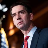 Tom Cotton, 47, Senator aus Arkansas, geht als Nachzügler in das Vize-Rennen. Trump hatte den Militärveteranen mit umfangreichem außenpolitischem Lebenslauf erst relativ spät als potenziellen Mitstreiter in seine Überlegungen einbezogen. Dabei war der Ex-Präsident schon früher von Cotton fasziniert: Er hatte ihn damals für einen Kabinettsposten in Betracht gezogen. Führende Republikaner erwarten daher, dass Cotton, sollte er als Trumps Vize übergangen werden, für einen anderen Posten wie den des Außen- oder Verteidigungsministers im Gespräch sein könnte.  Pro: Laut Insidern ist Cotton mit seinem relativ unauffälligen Profil und seiner mehr als zehnjährigen Erfahrung im Kongress zunehmend attraktiv für Trump. Seine Berater haben Cotton jüngst öffentlich für seine Auftritte bei Fernsehinterviews gelobt. Zudem pflegt er enge Beziehungen zu wichtigen Spendern der "Grand Old Party".  Contra: Cotton hat 2020 das Ergebnis der Präsidentschaftswahlen bestätigt und fällt damit durch Trumps wichtigsten Treuetest. Zudem könnten sich seine außenpolitischen Linien nicht mit Trumps isolationistischem Ansatz vertragen. Cotton ist beispielsweise ein Befürworter von mehr Mitteln für die Ukraine.