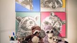 Waschbär Deko, Kuscheltiere und Bilder in der Begegnugsstätte des Vereins