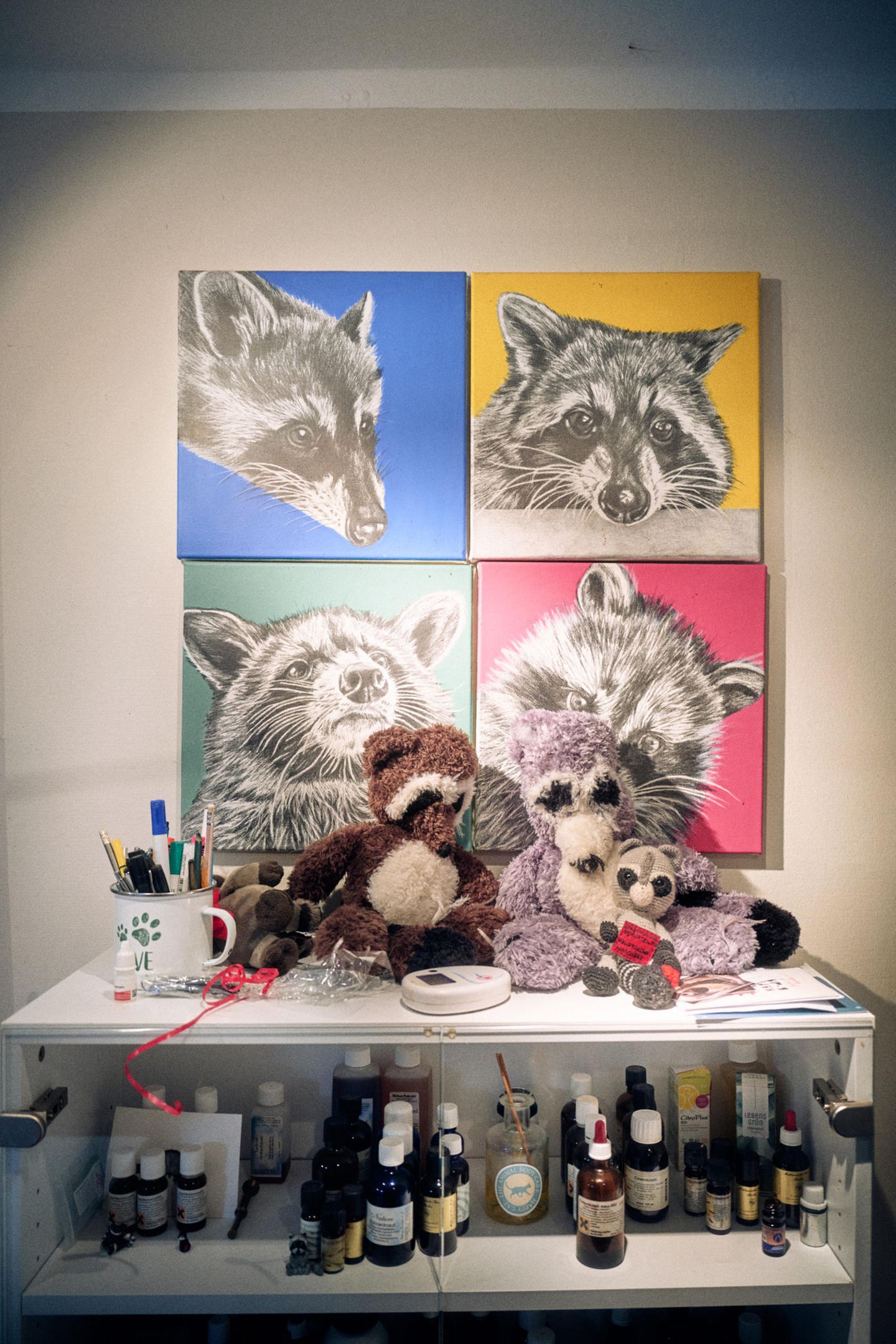 Waschbär Deko, Kuscheltiere und Bilder in der Begegnugsstätte des Vereins