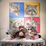 Waschbär Deko, Kuscheltiere und Bilder in der Begegnugsstätte des Vereins